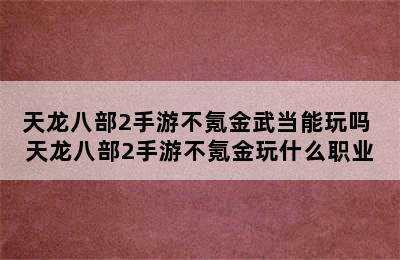 天龙八部2手游不氪金武当能玩吗 天龙八部2手游不氪金玩什么职业